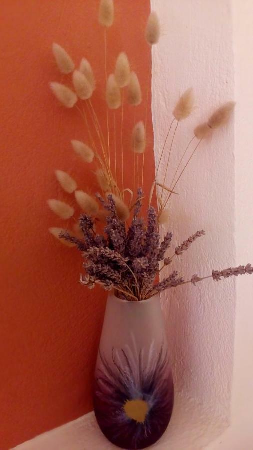 Bed and Breakfast Kostas Walkers Point Dafnata Екстер'єр фото